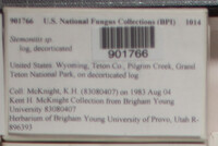 Image Associated With the Occurence